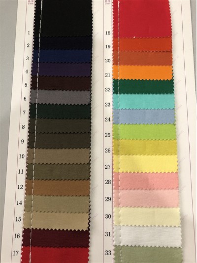 GZ-JNHE 810 尼龍面料  背囊/雨衣面料  正面照